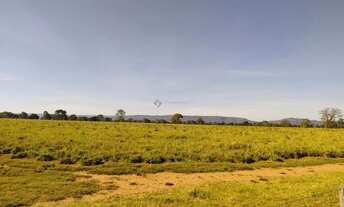 Imagem 7: Fazenda com 4100 hectares em Porto Estrela - MT