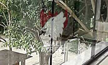 Imagem 3: AMPLO APARTAMENTO EM ÓTIMA LOCALIZAÇÃO