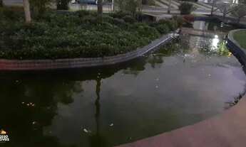 Imagem 6: Terreno Condomínio Residencial Rio da Prata - Com 258m²