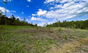 Imagem: ÁREA DE TERRA 6,6HA PRÓXIMO AO CENTRO