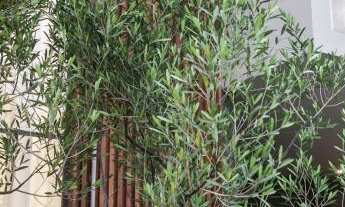 Imagem 5: Casa Maestro - Residencial Vista Alegre