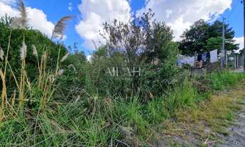 Imagem 2: Terreno Bosque das Araucárias - Desvio Rizzo