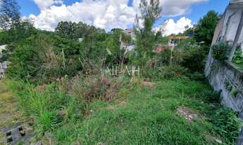 Imagem 3: Terreno Bosque das Araucárias - Desvio Rizzo