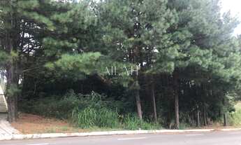 Imagem: Dois terrenos com ótima localização na