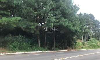 Imagem 2: Dois terrenos com ótima localização na Colina Sorriso