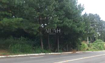 Imagem 3: Dois terrenos com ótima localização na Colina Sorriso