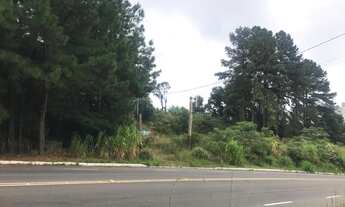 Imagem 4: Dois terrenos com ótima localização na Colina Sorriso