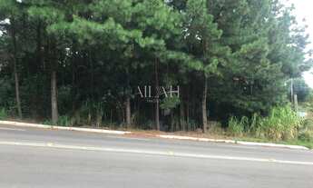 Imagem 6: Dois terrenos com ótima localização na Colina Sorriso