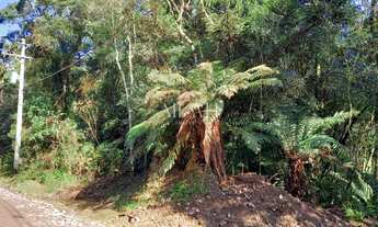 Imagem: Terreno em São Francisco de Paula, próximo