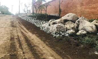 Imagem 3: Villa Albero, 527M² de Área Total