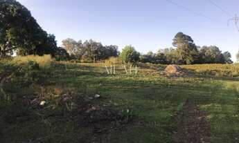 Imagem 1: Terreno Em Monte Bérico situado próximo a Matrizes Gama