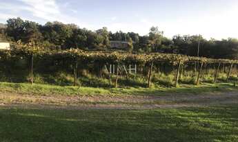 Imagem 3: Terreno Em Monte Bérico situado próximo a Matrizes Gama