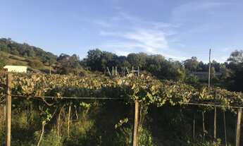 Imagem 7: Terreno Em Monte Bérico situado próximo a Matrizes Gama