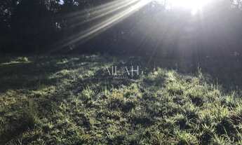 Imagem 3: Terreno com 996,5 m2 em Monte Bérico