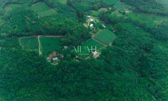 Imagem 2: Excelente chácara com 14 hectares, sendo 2,6 hectares de parreiras (arrendadas