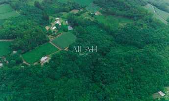 Imagem 3: Excelente chácara com 14 hectares, sendo 2,6 hectares de parreiras (arrendadas