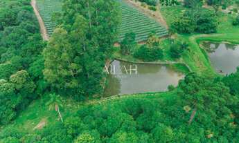Imagem 4: Excelente chácara com 14 hectares, sendo 2,6 hectares de parreiras (arrendadas