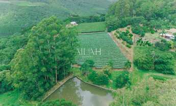 Imagem 5: Excelente chácara com 14 hectares, sendo 2,6 hectares de parreiras (arrendadas