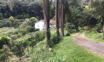 Imagem: Excelente Propriedade Rural com 6 has perto