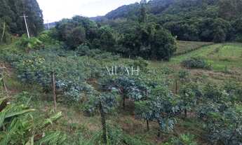 Imagem 2: Excelente Propriedade Rural com 6 has perto dos Pavilhões da Festa da Uva