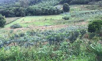 Imagem 3: Excelente Propriedade Rural com 6 has perto dos Pavilhões da Festa da Uva