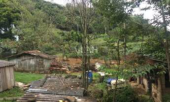 Imagem 7: Excelente Propriedade Rural com 6 has perto dos Pavilhões da Festa da Uva