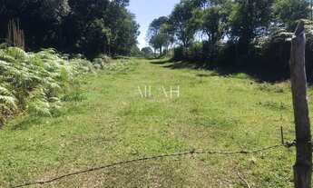 Imagem 4: Excelente Chácara com 26,6 mil metros quadrados em Belavista/São Virgílio em Caxias do Sul