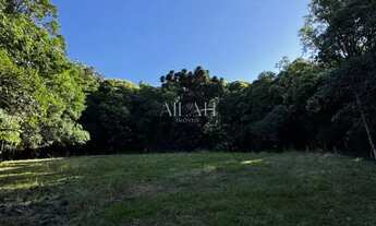 Imagem 3: Excelente Chácara em Ana Rech com 2 hectares