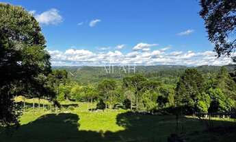 Imagem 5: Excelente Chácara em Ana Rech com 2 hectares