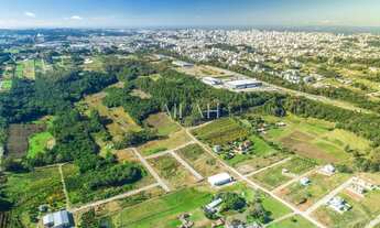Imagem 3: Terreno em Monte Bérico