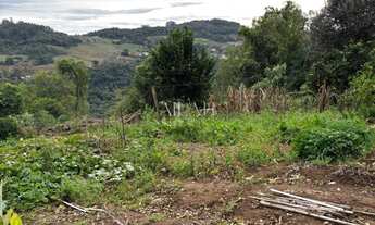 Imagem 3: Excelente Chácara com 2,3 hectares e duas moradias 3ª Légua