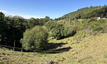 Imagem: Excelente Chácara em Ana Rech com 2 hectares