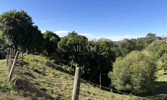 Imagem 2: Excelente Chácara em Ana Rech com 2 hectares