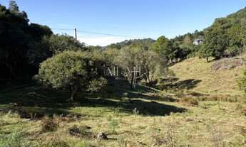 Imagem 3: Excelente Chácara em Ana Rech com 2 hectares