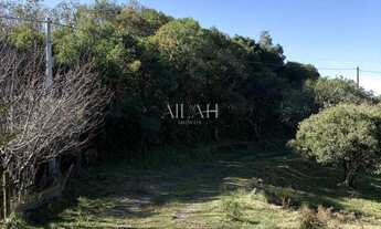 Imagem 4: Excelente Chácara em Ana Rech com 2 hectares