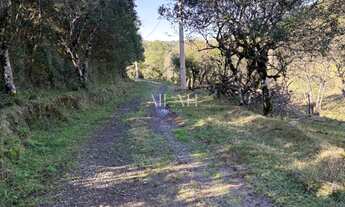 Imagem 5: Excelente Chácara em Ana Rech com 2 hectares