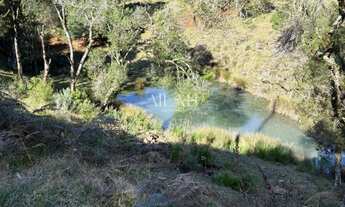 Imagem 6: Excelente Chácara em Ana Rech com 2 hectares