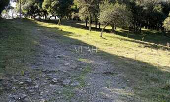 Imagem 7: Excelente Chácara em Ana Rech com 2 hectares