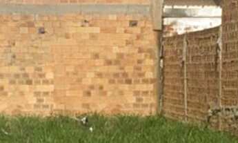 Imagem 2: Terreno - Morada das Acácias - Canoas