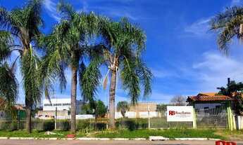 Imagem: TRÊS TERRENOS JUNTOS - 33M x 35M. FRENTE