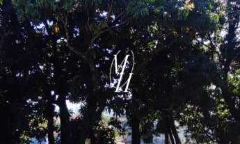 Imagem 7: Terreno frente para 3 ruas