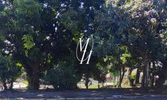 Imagem 6: Terreno frente para 3 ruas