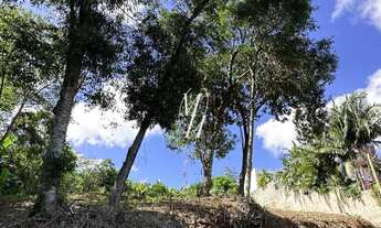Imagem 3: Terreno com 2 Dormitorio(s) localizado(a) no bairro Viaduto em Igrejinha / Rio Grande do