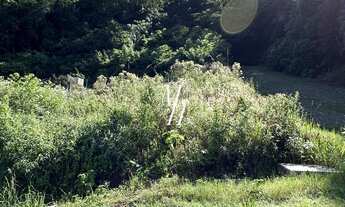 Imagem 5: Terreno de esquina Bairro Viaduto