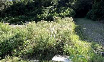 Imagem 7: Terreno de esquina Bairro Viaduto