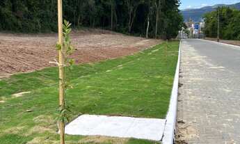 Imagem: Terrenos disponíveis no Loteamento Martins