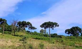 Imagem: Terreno com 3 Dormitorio(s) localizado(a)