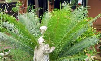 Imagem: CASA 3 DORMITÓRIOS / TRAMANDAÍ