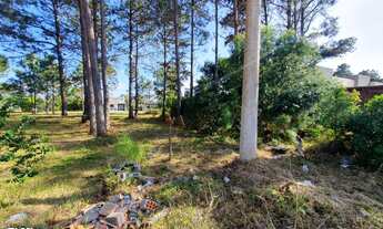 Imagem: TERRENO NA ALDEIA DA LAGOA