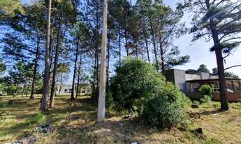 Imagem 2: TERRENO NA ALDEIA DA LAGOA